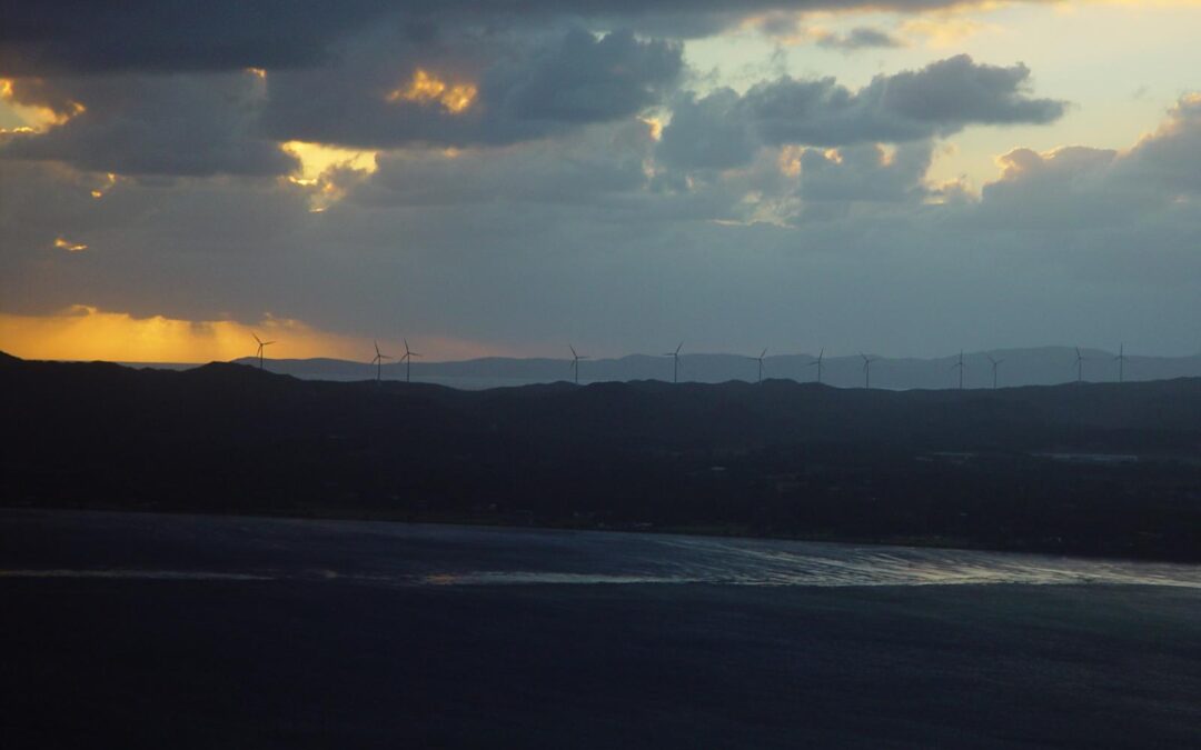 WP 6.1 Theme block category